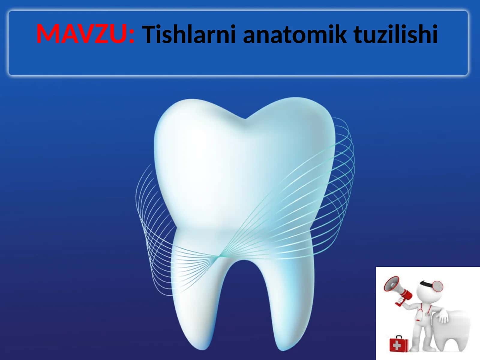 Tishlarni anatomik tuzilishi 1