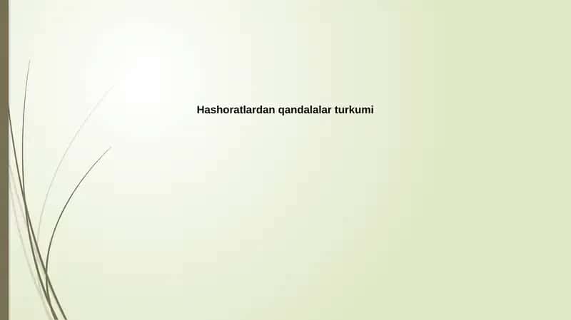 Yakontovning tadqiqotlari 1