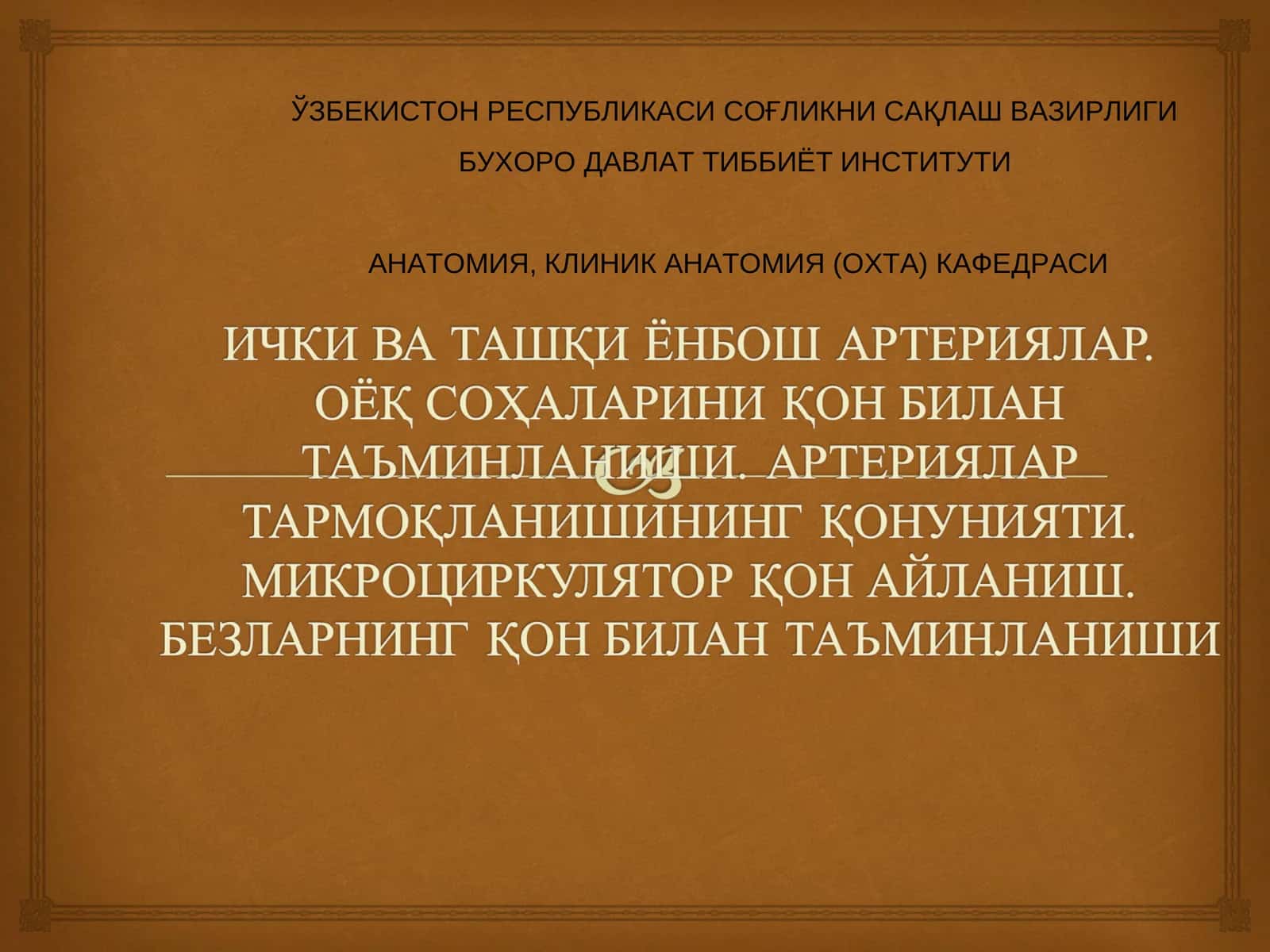 Ички ёнбош артерияси, Ташки ёнбош артерияси. Сон артерияси, Сон артериясининг тармоклари, Дум артериялари, тизза ости артерияси 1