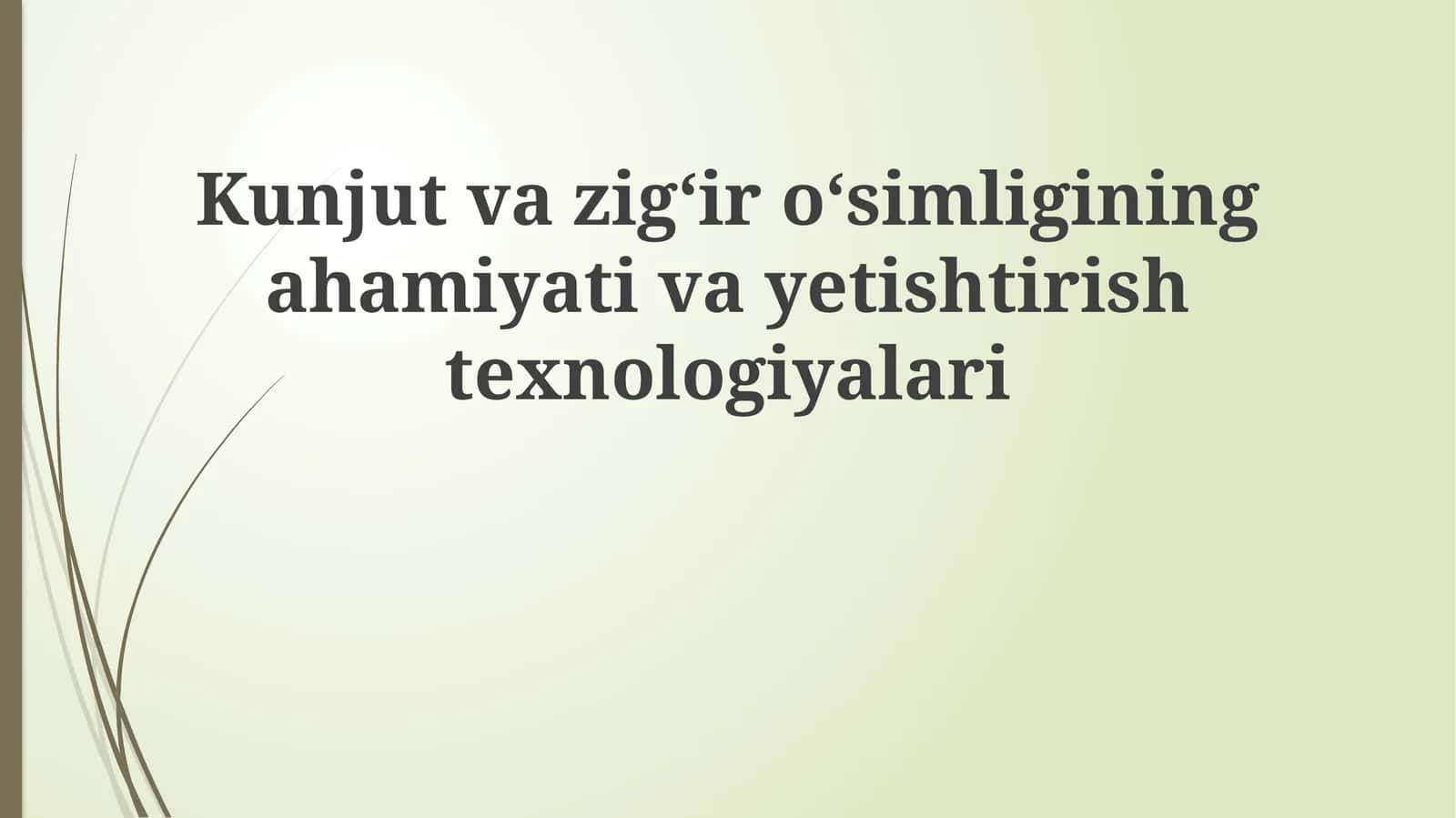 Sesame va zig'irning ahamiyati va iqtisodiy roli 1