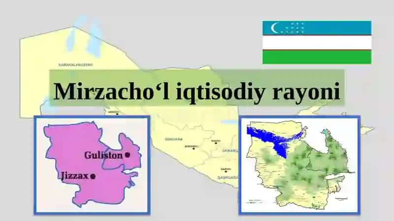 Mirzacho‘li iqtisodiy rayoniy