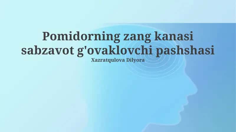 Pomidor zang kanasi sabzavot g'ovaklovchi pashshasi 1