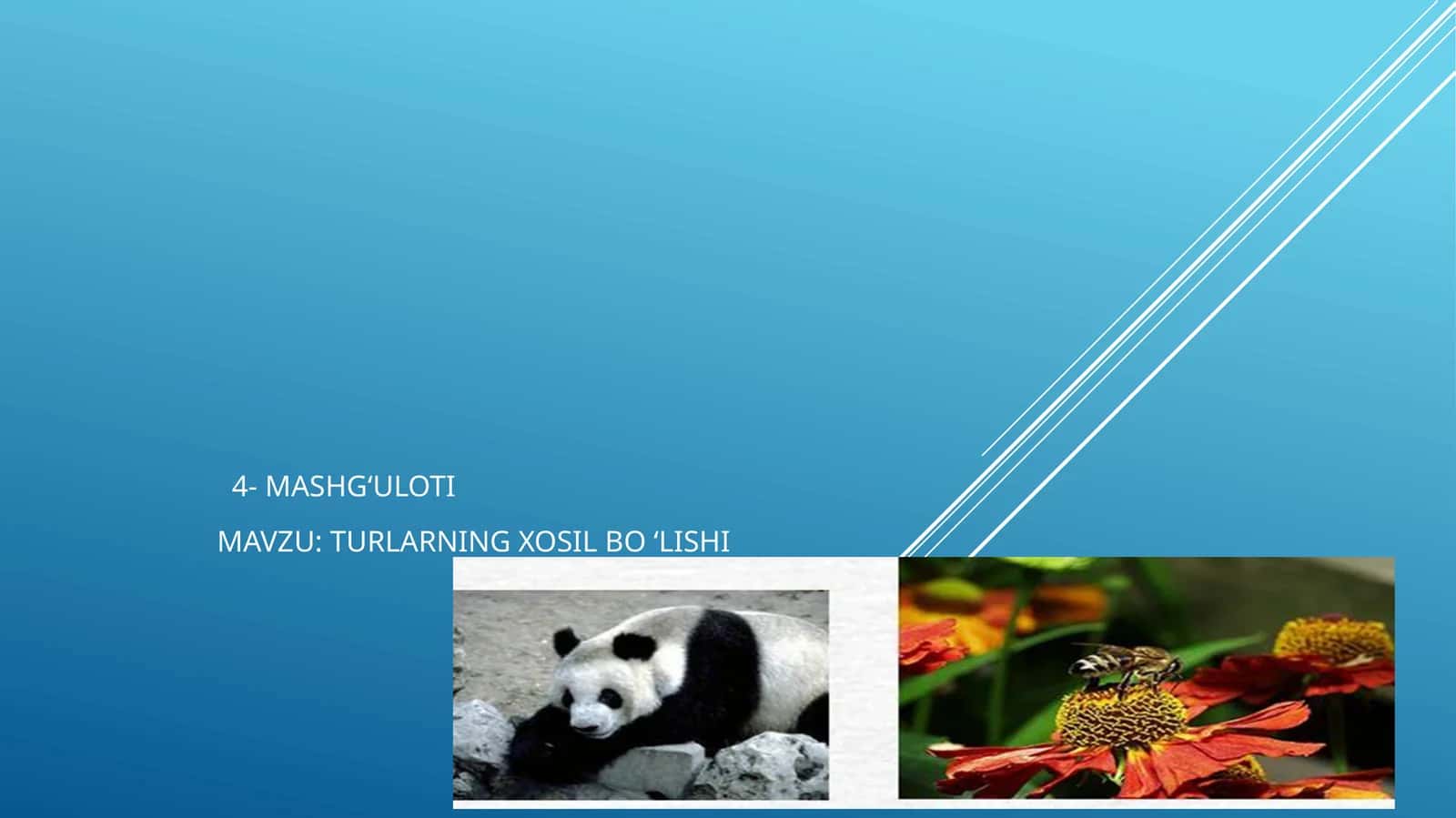 Tur-Tirik Organizmalar Tizimati 1