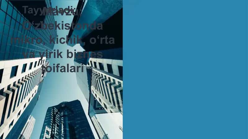 O‘zbekistonda mikro, kichik, o‘rta va yirik biznes toifalari 1