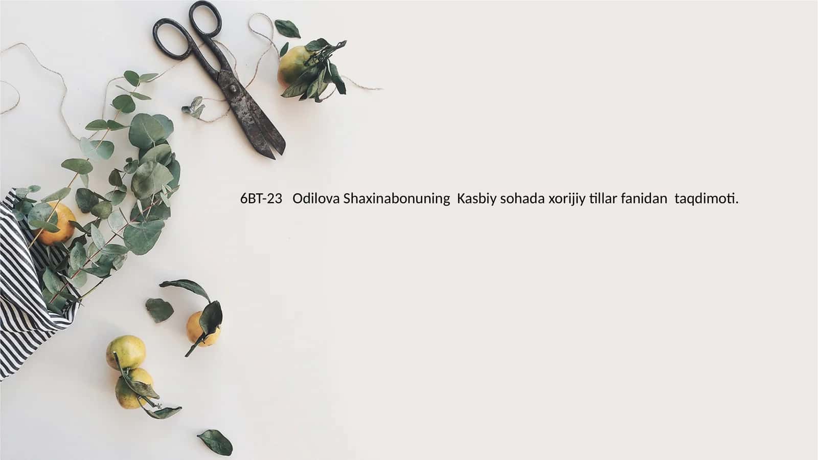 Odilova Shaxinabonuning Kasbiy sohada xorijiy tillar fanidan taqdimoti 1