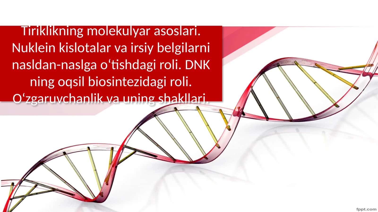 Nuklein kislotalar va irsiy belgilarni nasldan-naslga o‘tishdagi roli 1