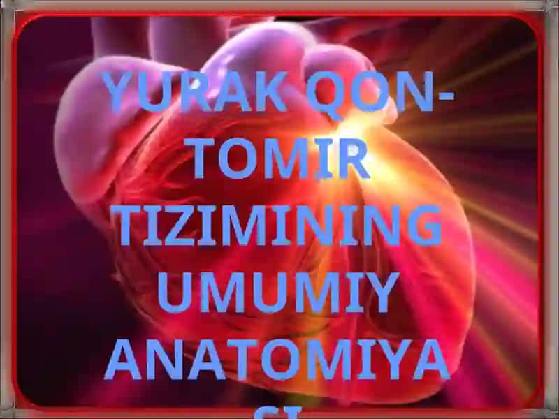 YURAK QON-TOMIR TIZIMINING UMUMIY ANATOMIYASI