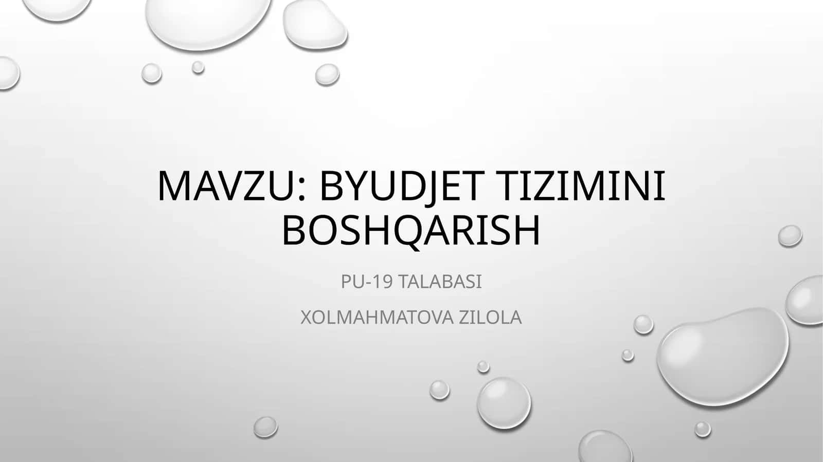 Byudjet tizimini boshqarish 1