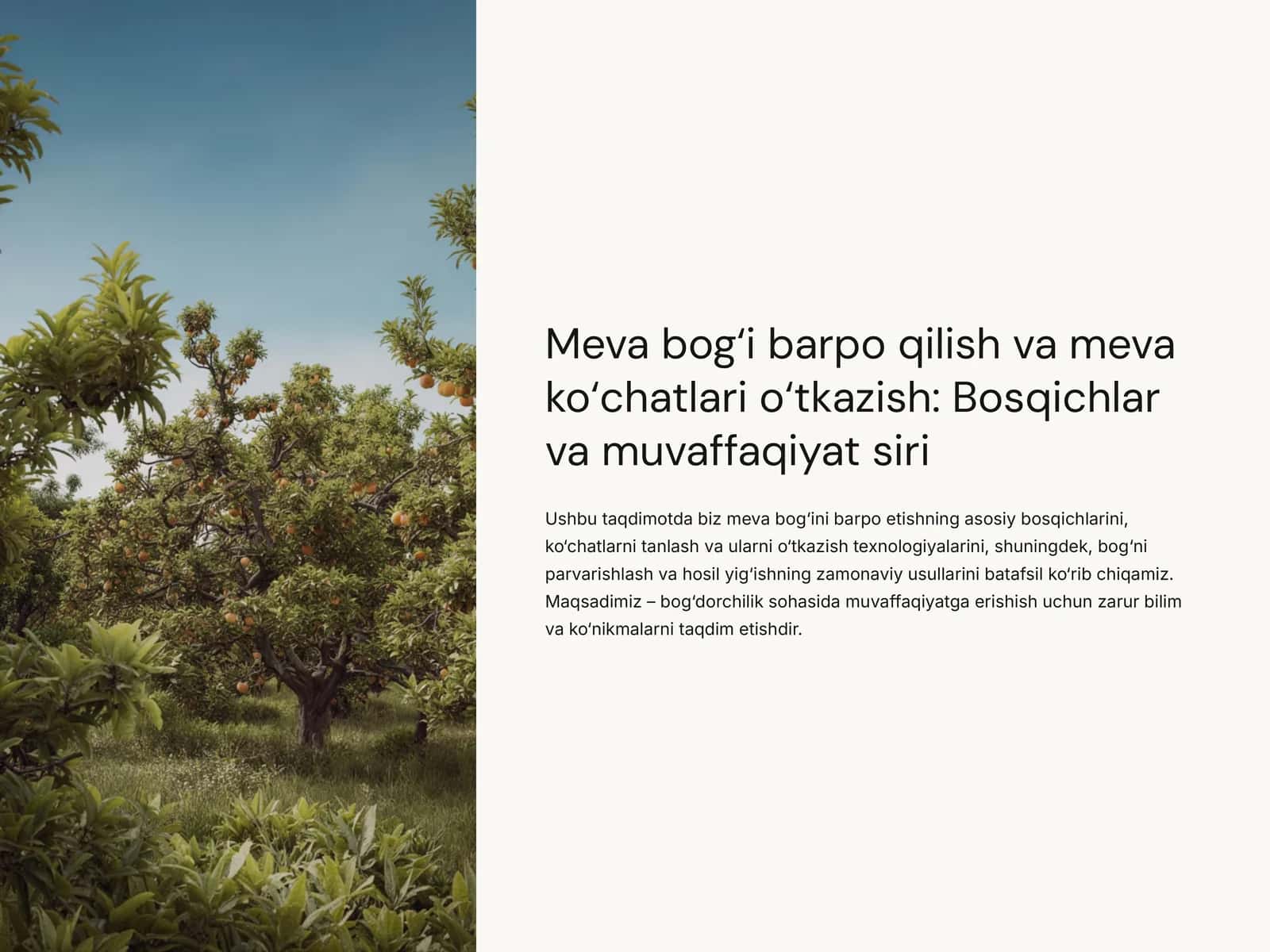 Meva-bog'i-barpo-qilish-va-meva-ko'chatlari-o'tkazish-Bosqichlar 1