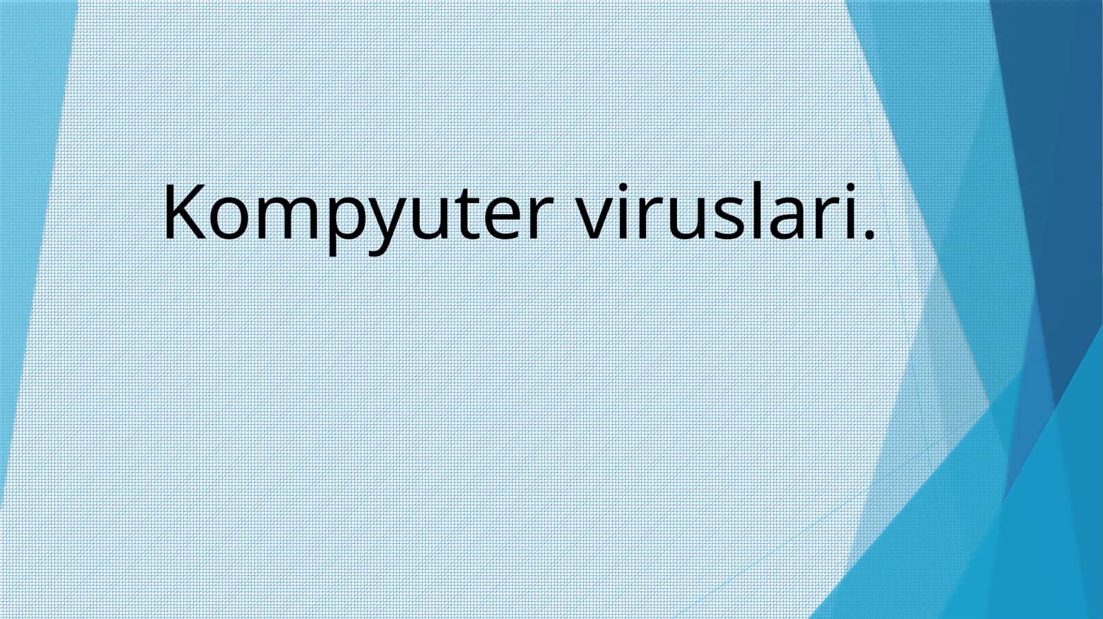 Kompyuter viruslari 1