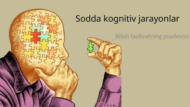 Sodda kognitiv jarayonlar 1