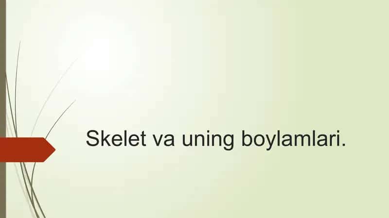 Skelet vauning boylamlari 1