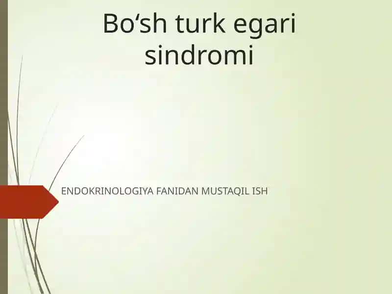Bo‘sh turk egari sindromi