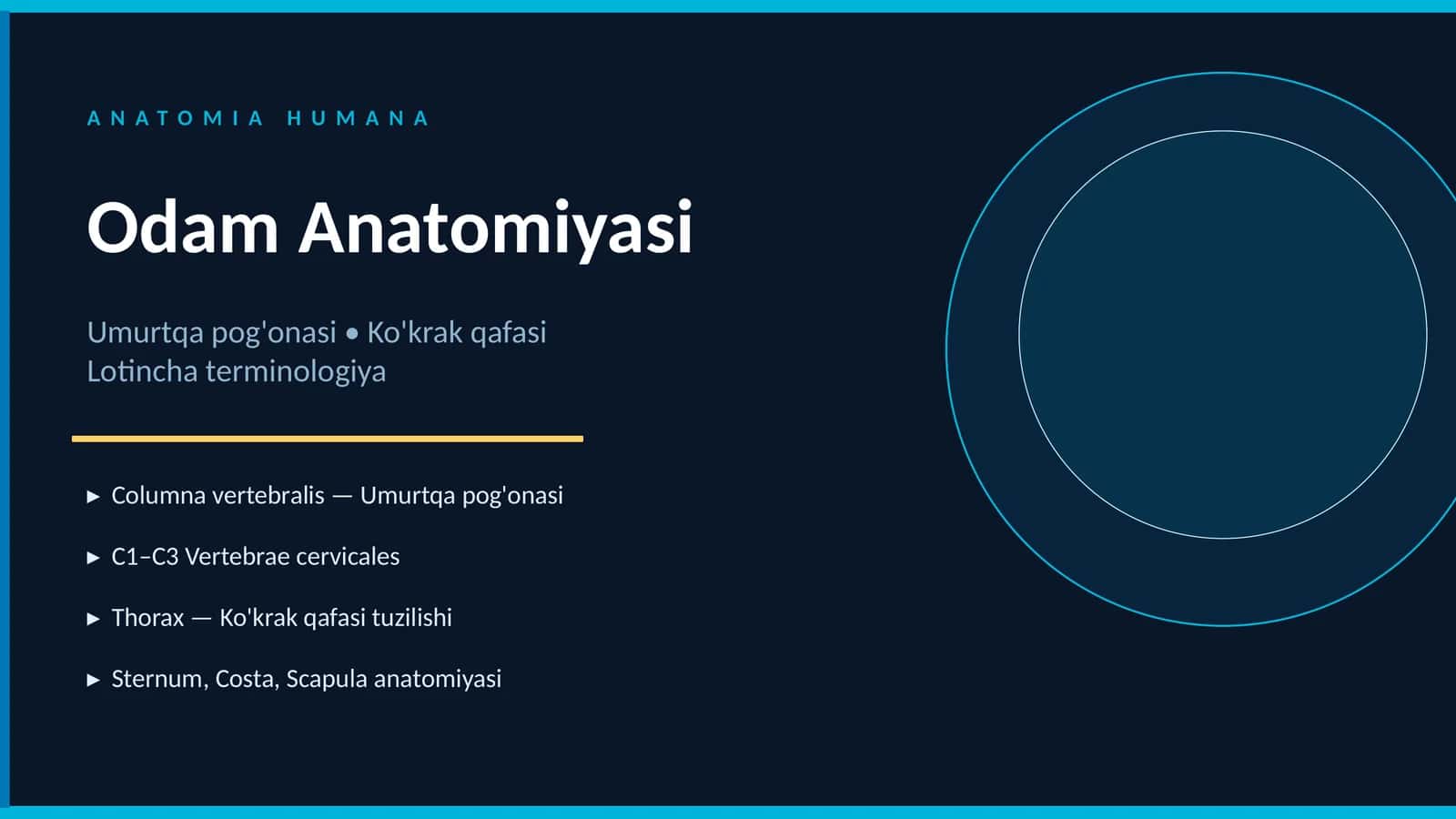 Umurtqa pog'onasi va Ko'krak qafasi Lotincha terminologiya 1