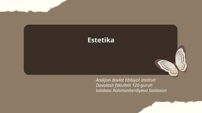 Estetika 1