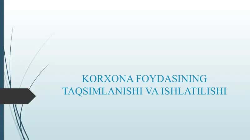 KORXONA FOYDASINING TAQSIMLANISHI VA ISHLATILISHI 1