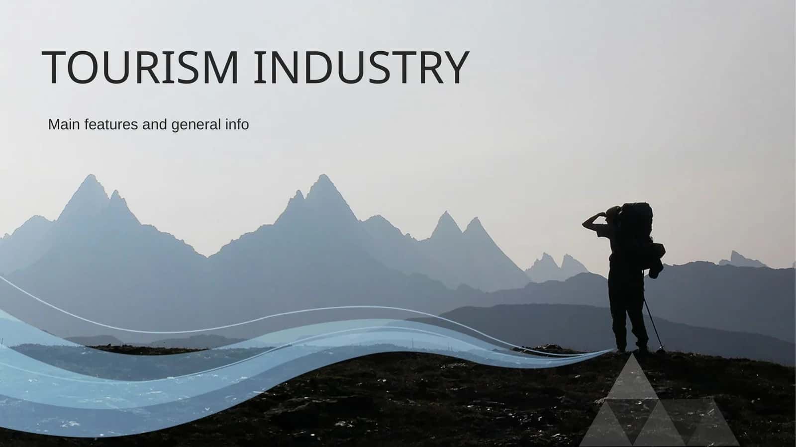 TOURISM INDUSTRY 1