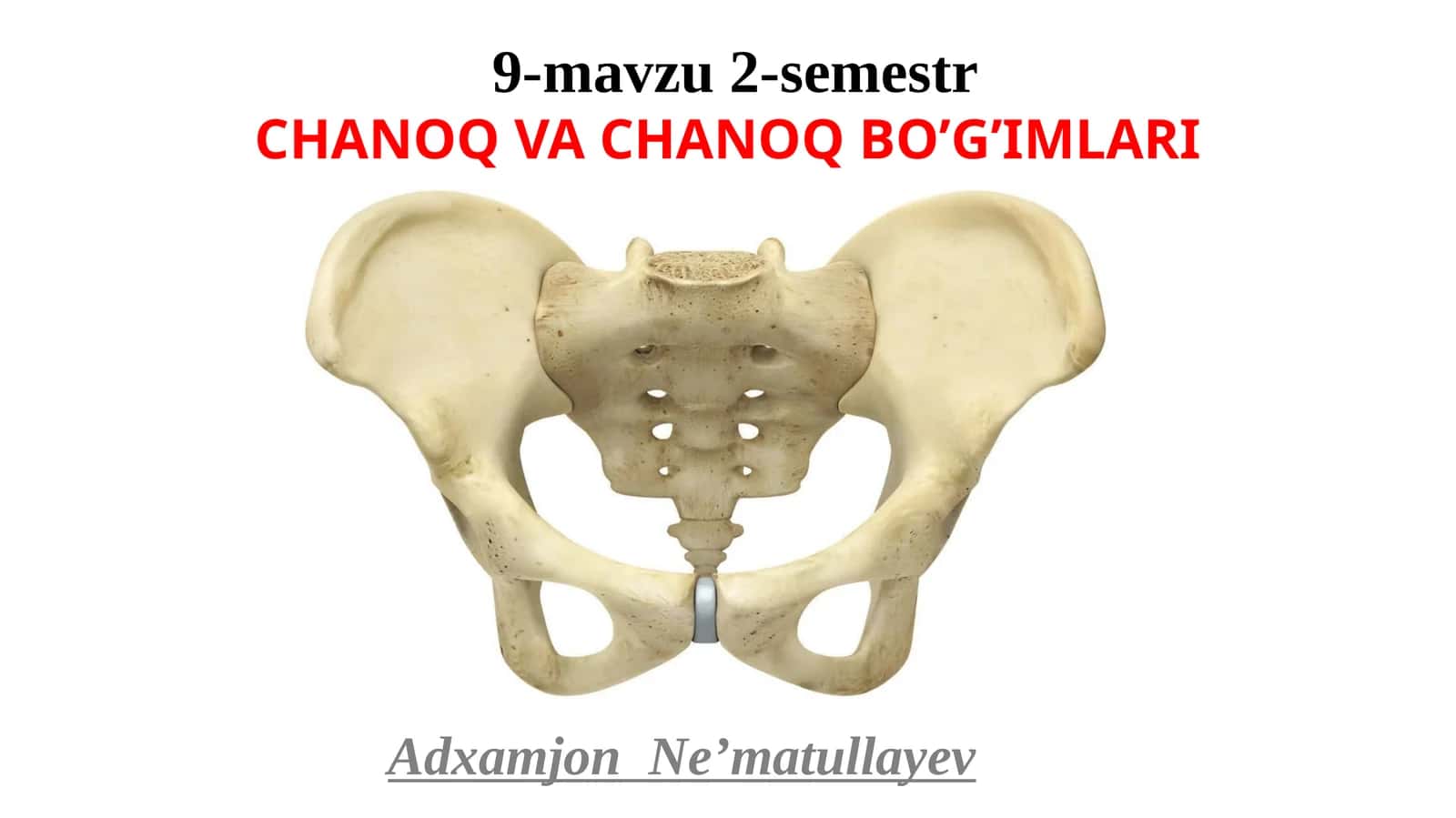 CHANOQ VA CHANOQ BO’G’IMLARI 1