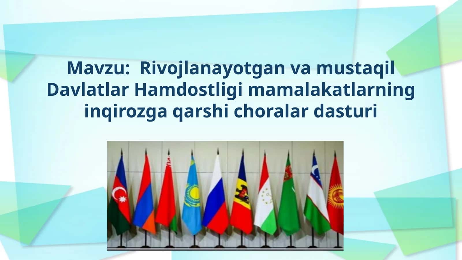 Rivojlanayotgan va mustaqil Davlatlar Hamdostligi mamalakatlarning inqirozga qarshi choralar dasturi 1