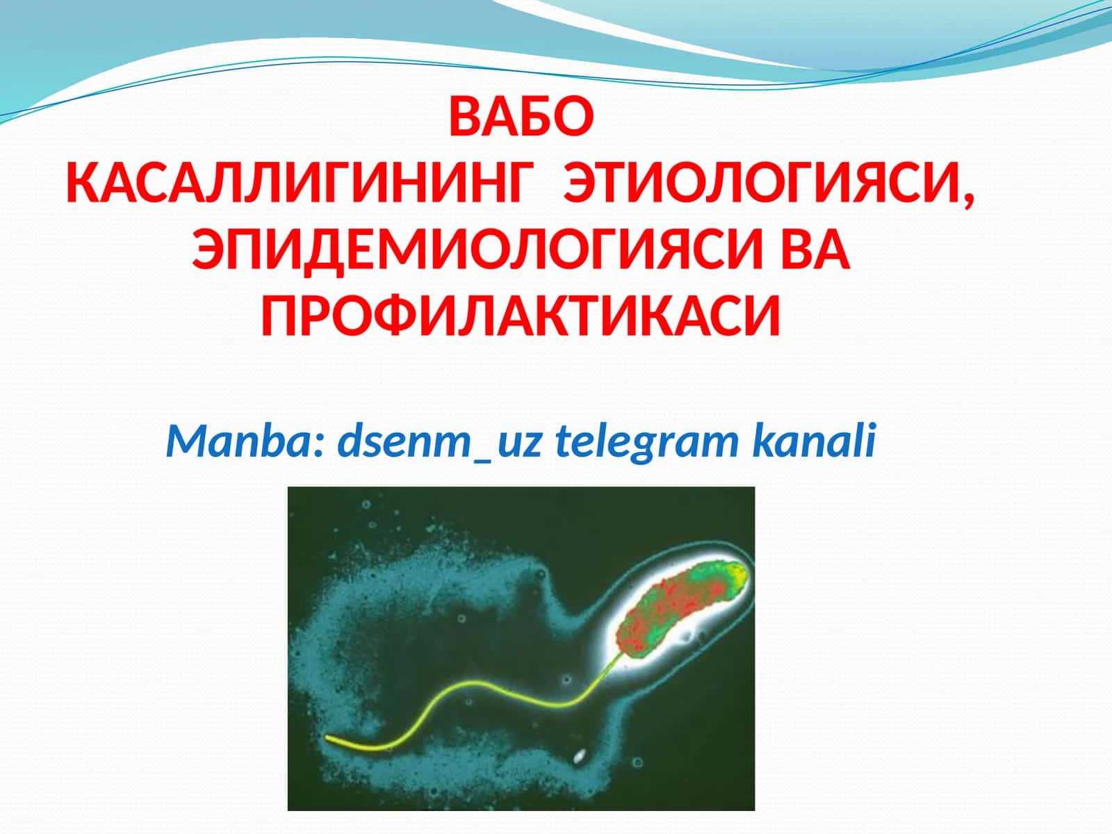 ВАБОКАСАЛЛИГИНИНГ ЭТИОЛОГИЯСИ, ЭПИДЕМИОЛОГИЯСИ ВАПРОФИЛАКТИКАСИ 1