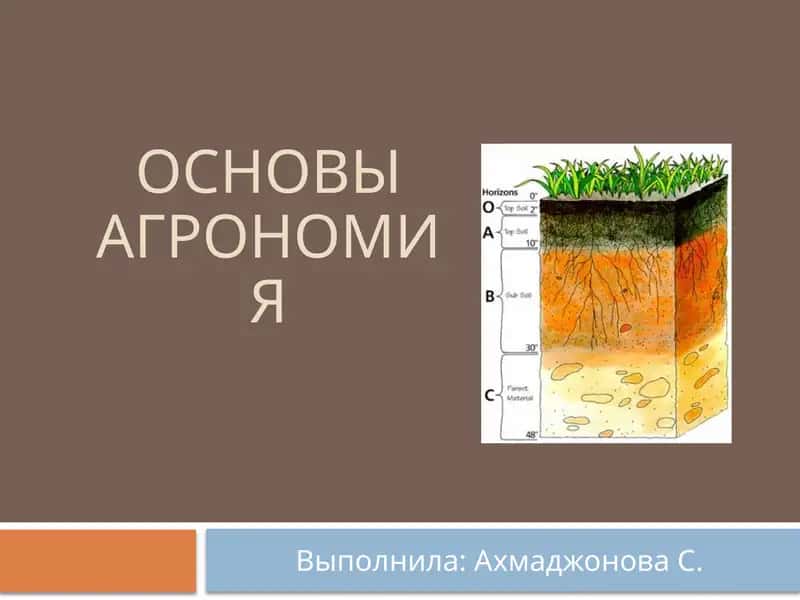 ОсновыАгрономия 1