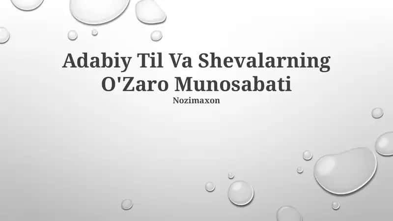 Adabiy Til Va Shevalarning O'Zaro Munosabati 1
