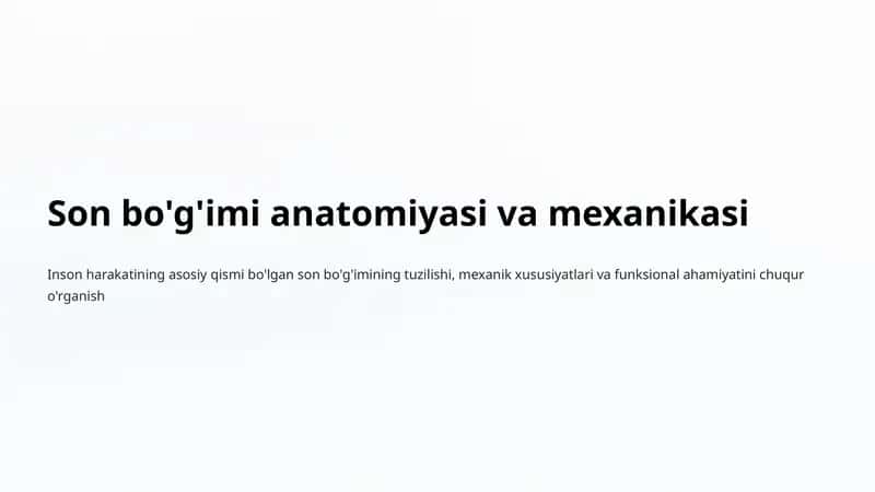 Son bo'g'imi anatomiyasi va mexanikasi 1