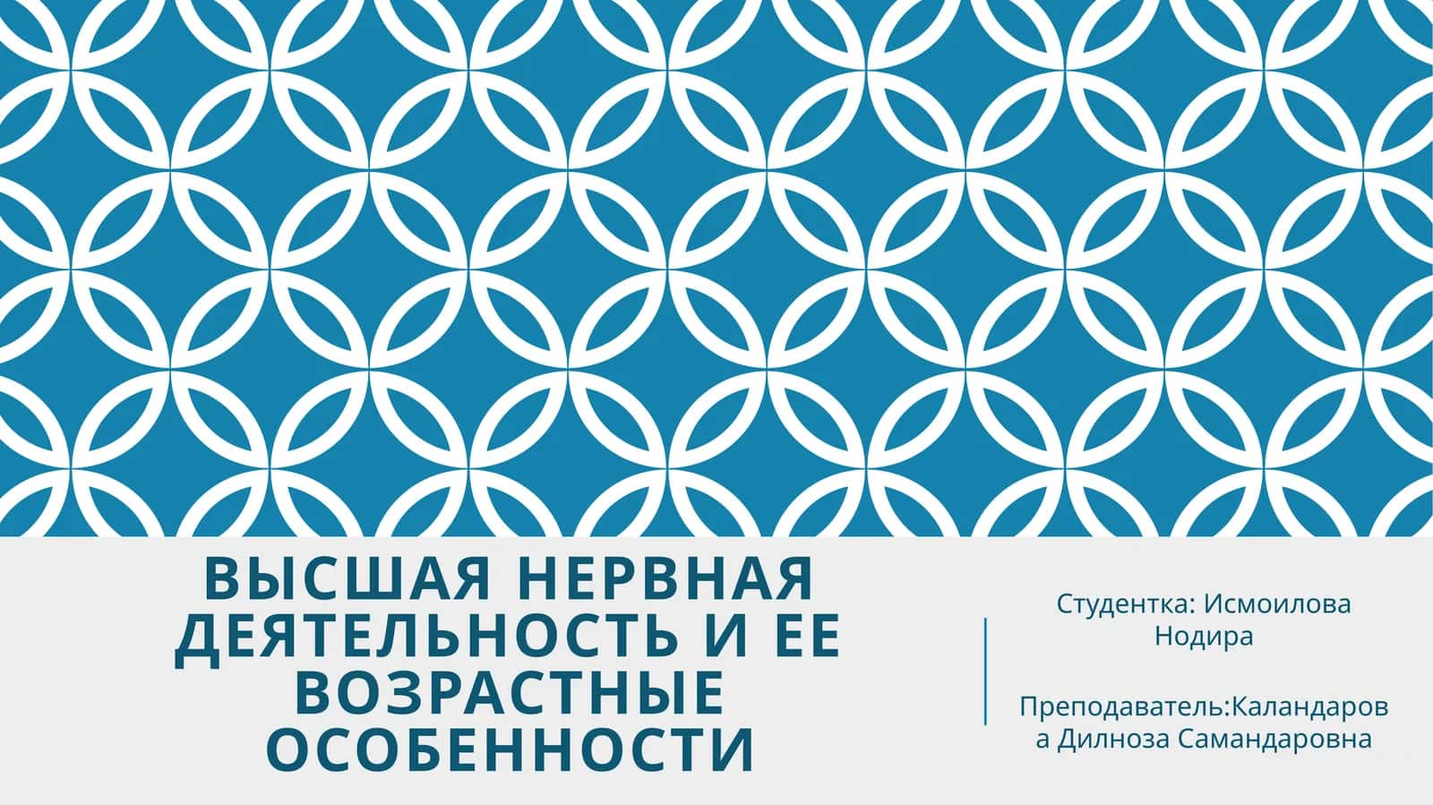 Высшая нервная деятельность и ее возрастные особенности 1
