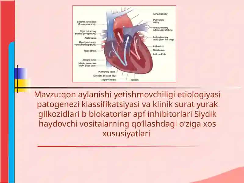 qon aylanishi yetishmovchiligi etiologiyasi patogenezi klassifikatsiyasi va klinik surat yurak glikozidlari b blokatorlar apf inhibitorlari Siydik haydovchi vositalarning qoʻllashdagi oʻziga xos xususiyatlari