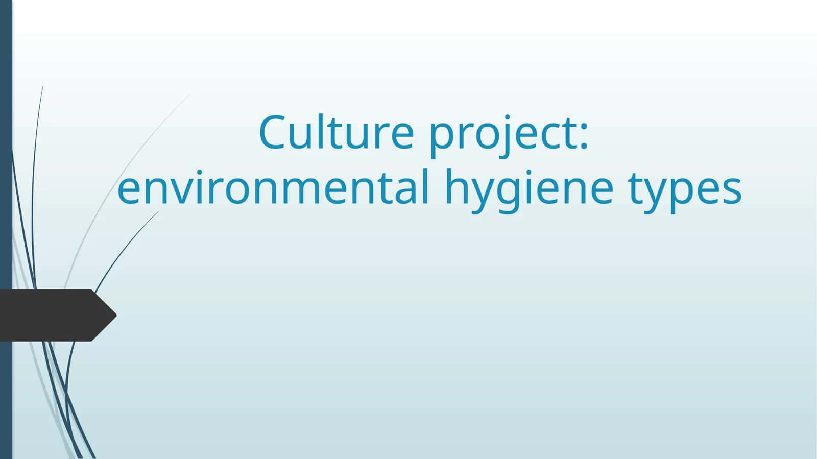 Culture project environmental hygiene types 1