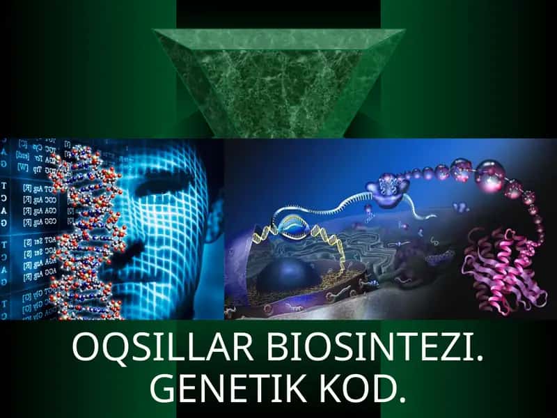 Plastikalmashinuv 1