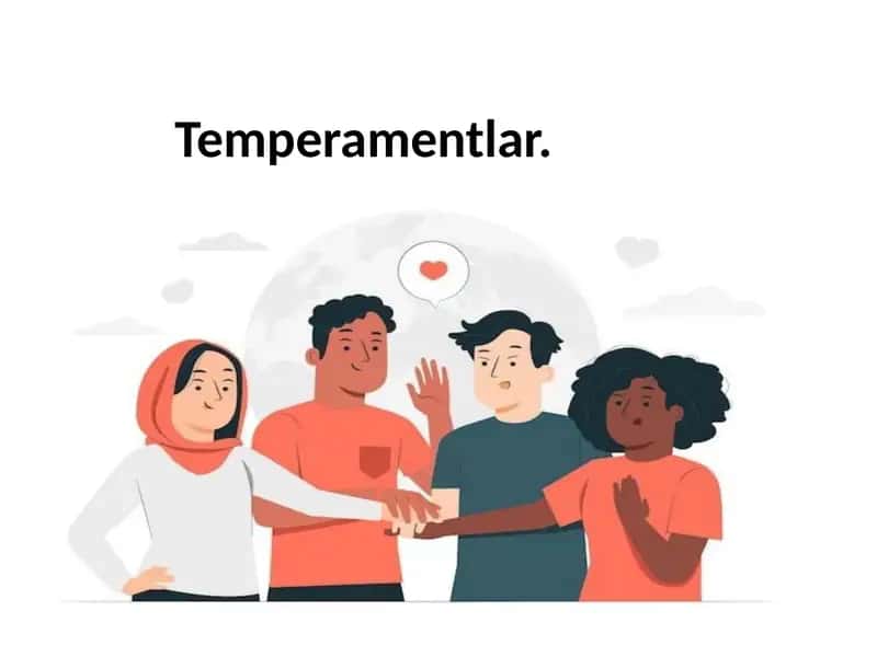 Temperamentlar 1