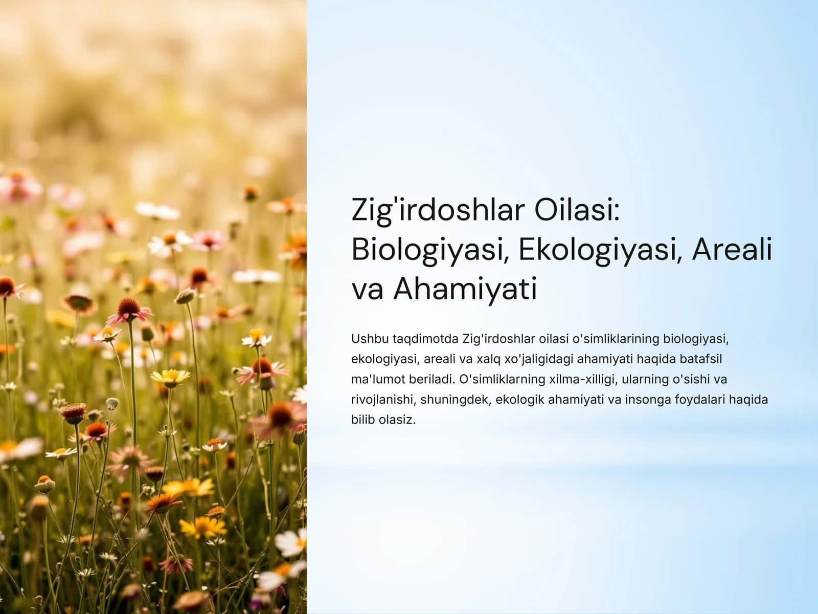 Zig'irdoshlar Oilasi: Biologiyasi, Ekologiyasi, Areali va Ahamiyati 1