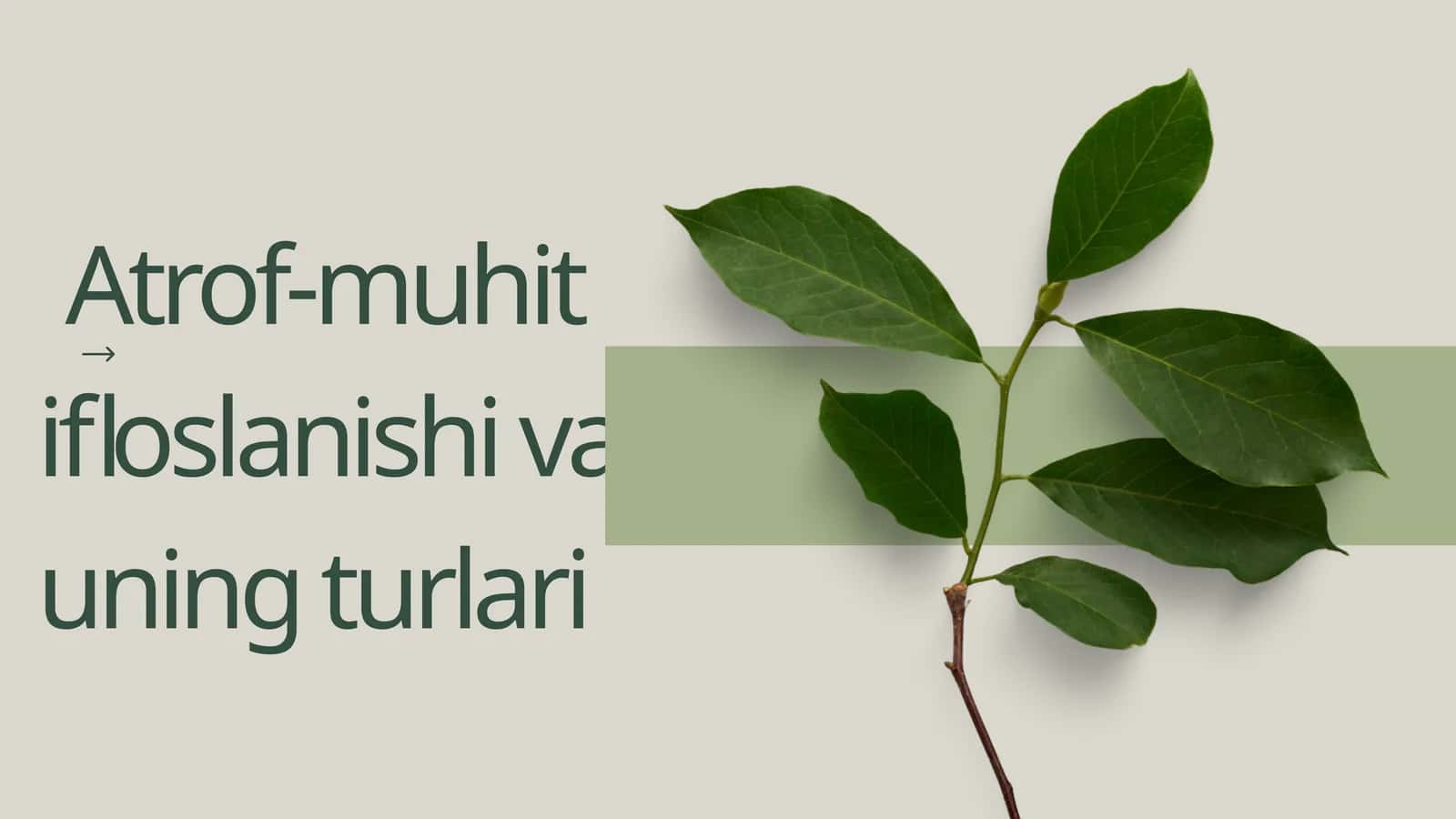 Atrof-muhit ifloslanishi va uning turlari 1