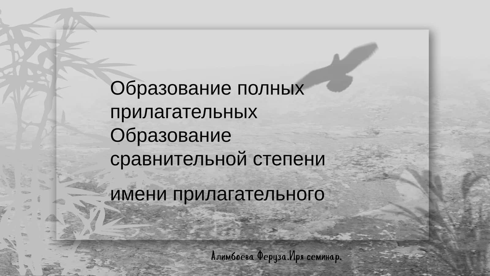 История русского языка 1