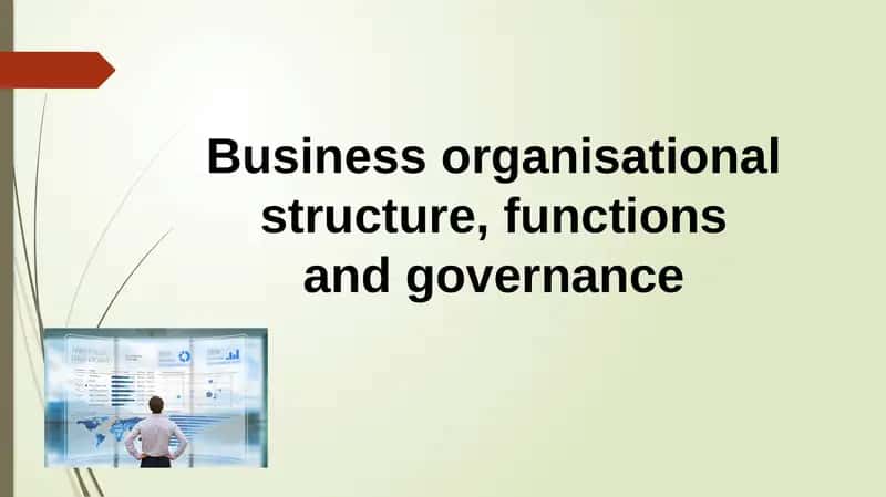 Business Organisational Structure, Functions and Governance 1