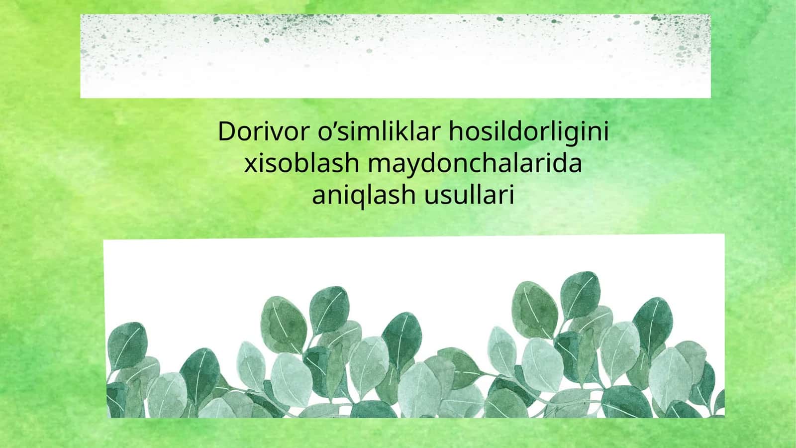 Dorivor o’simliklar hosildorligini xisoblash maydonchalarida aniqlash usullari 1