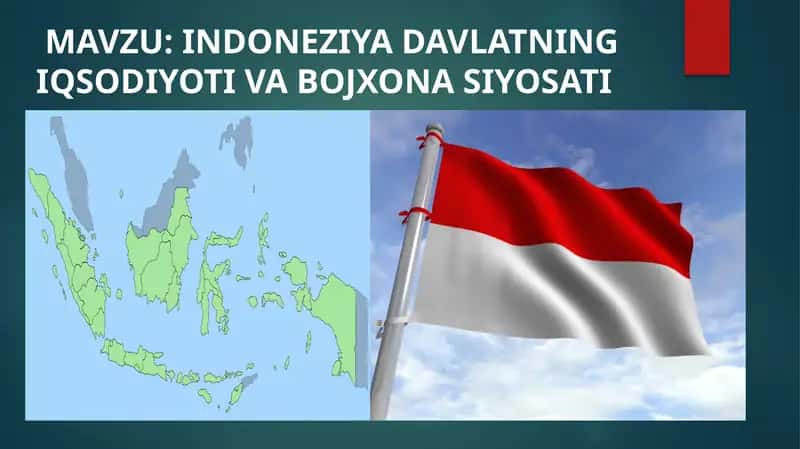 INDONEZIYA DAVLATNING IQSODIYOTI VA BOJXONA SIYOSATI 1