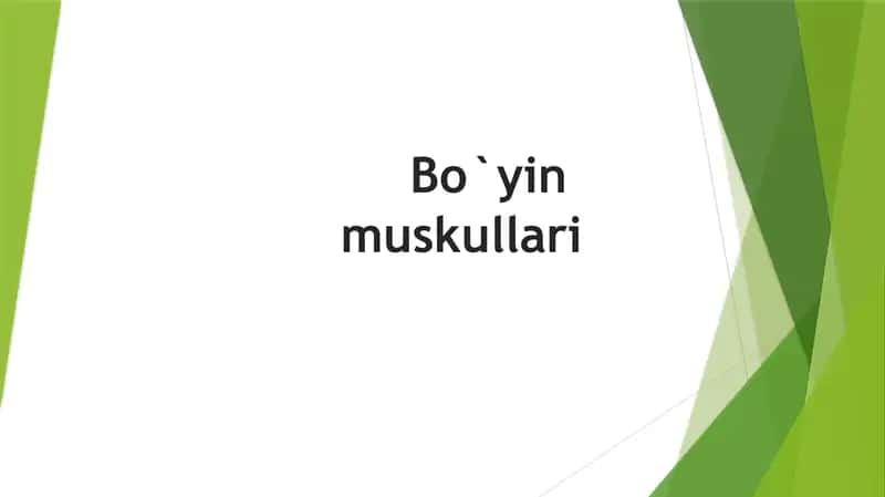 Bo`yin muskillari 1