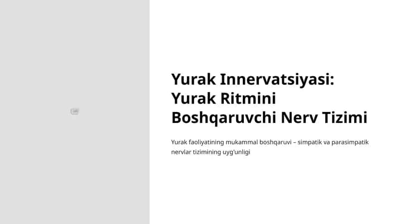 Yurak Innervatsiyasi: Yurak Ritmini Boshqaruvchi Nerv Tizimi 1
