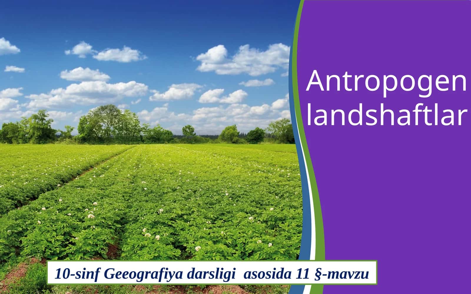 Antropogenlandshaftlar 1