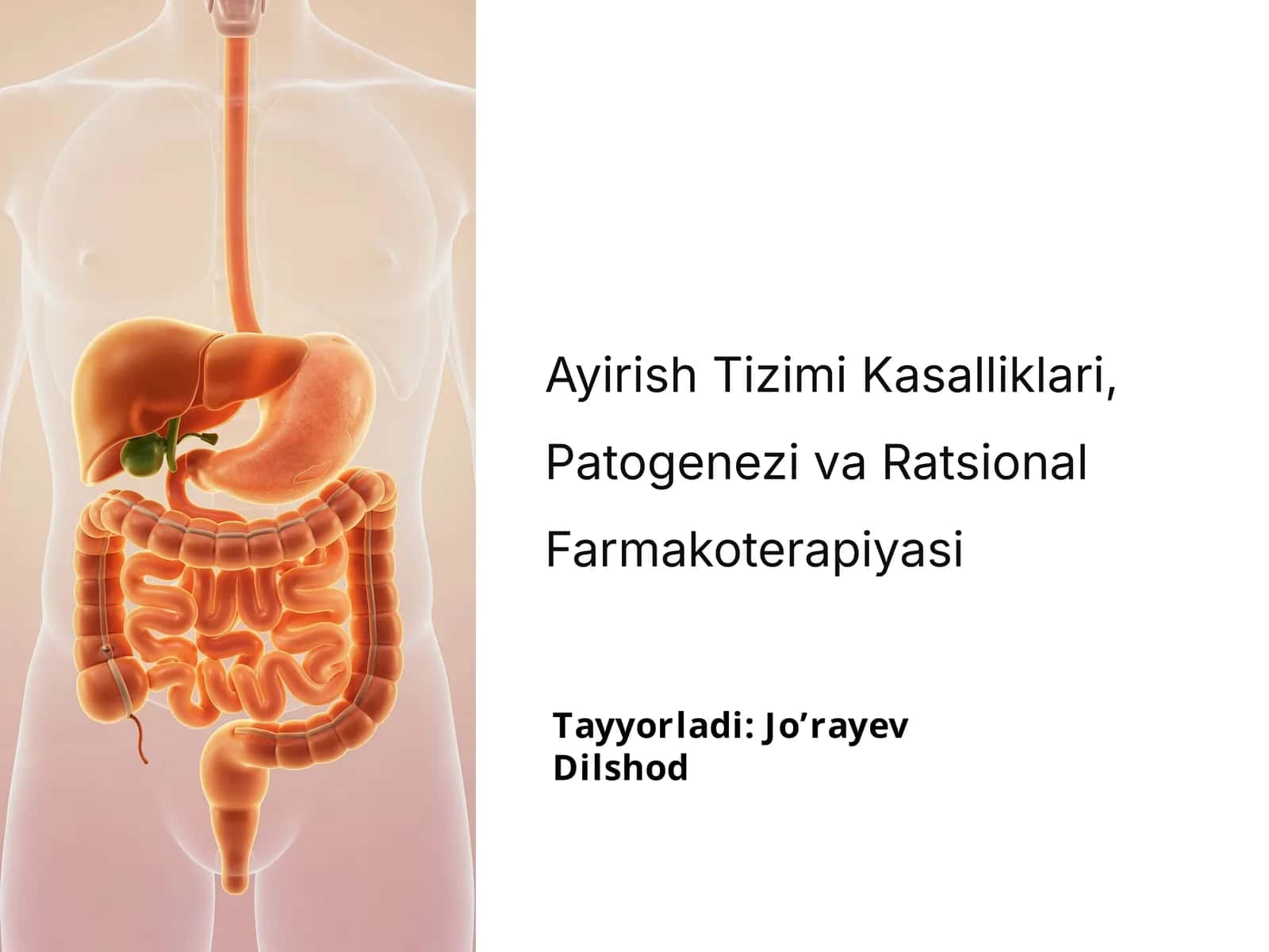 Ayirish Tizimi Kasalliklari, Patogenezi va Ratsional Farmakoterapiyasi 1