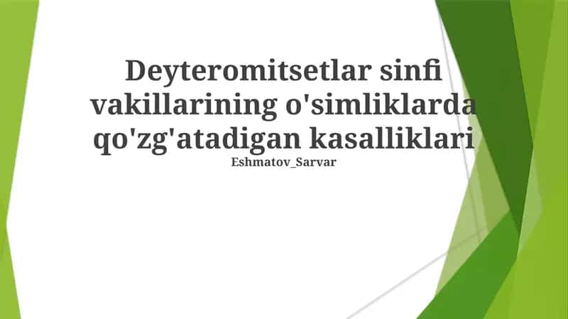 Deyteromitsetlar sinfi vakillarining o'simliklarda qo'zg'atadigan kasalliklari 1