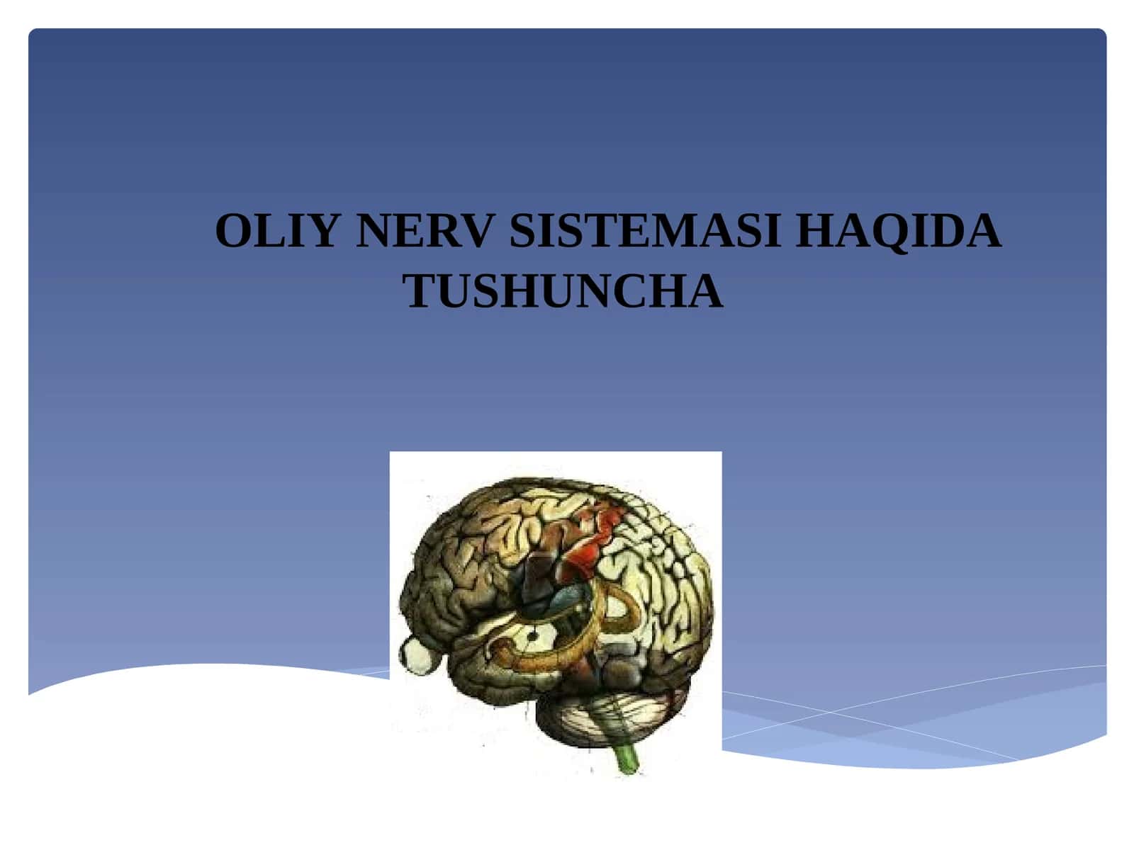 OLIYNERV SISTEMASI HAQIDA TUSHUNCHA 1