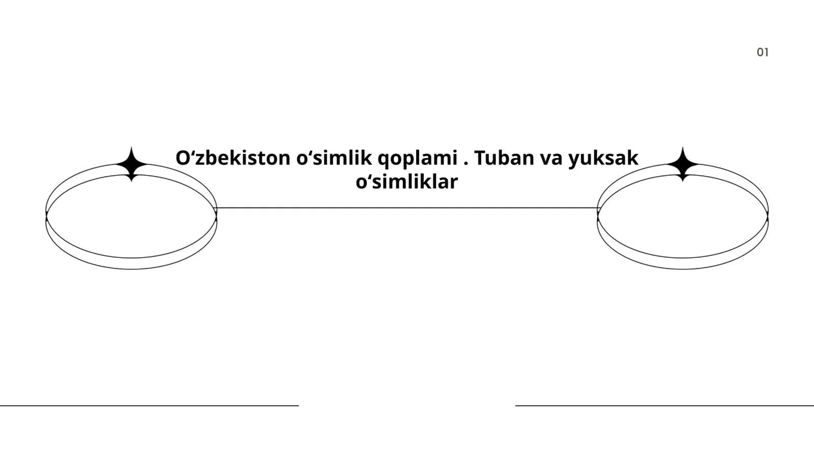 Oʻzbekiston oʻsimlik qoplami. Tuban va yuksak oʻsimliklar 1