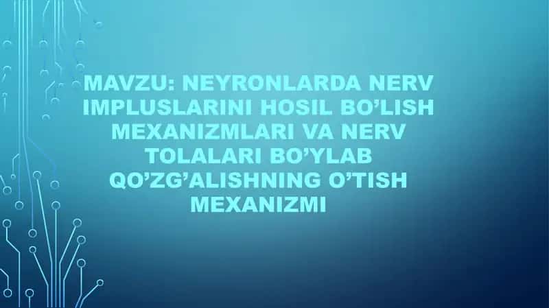 Neyronlarda nerv impluslarini hosil bo’lish mexanizmlari va nerv tolalari bo’ylab qo’zg’alishning o’tish mexanizmi 1