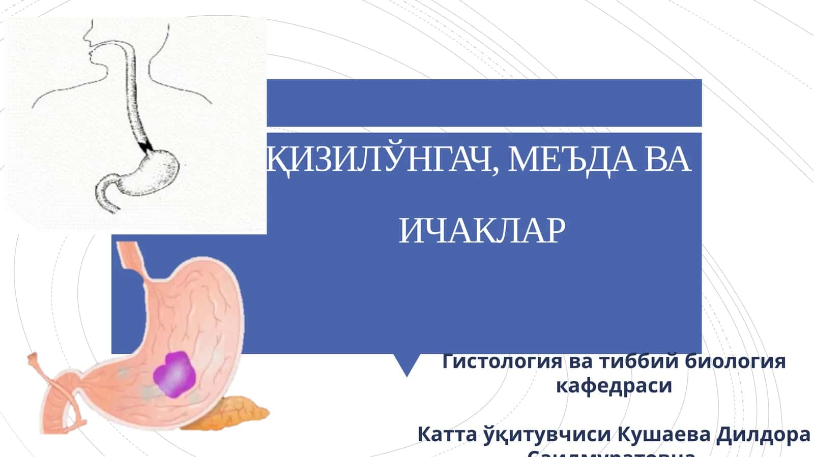 ҚИЗИЛЎНГАЧ, МЕЪДА ВАИЧАКЛАР 1