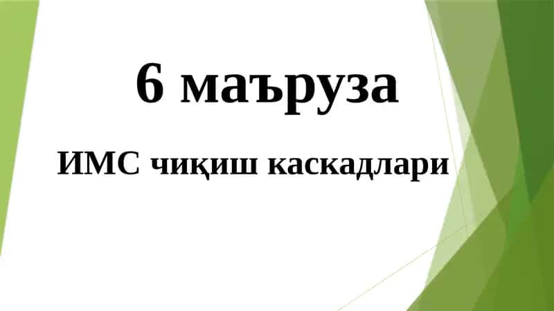 ИМС чиқиш каскадлари 1
