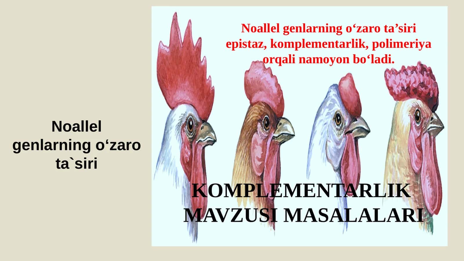 Komplementarlik MAVZUSI MASALALARI 1