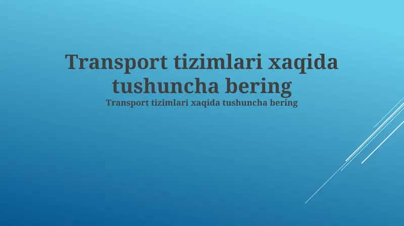 Transport tizimlarining turlari 1